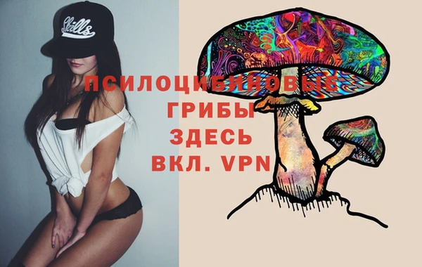 mdpv Балахна