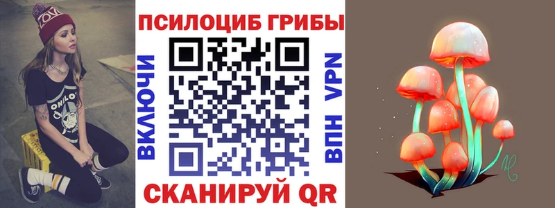 наркота Красноармейск Галлюциногенные грибы мицелий